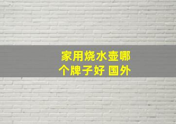 家用烧水壶哪个牌子好 国外